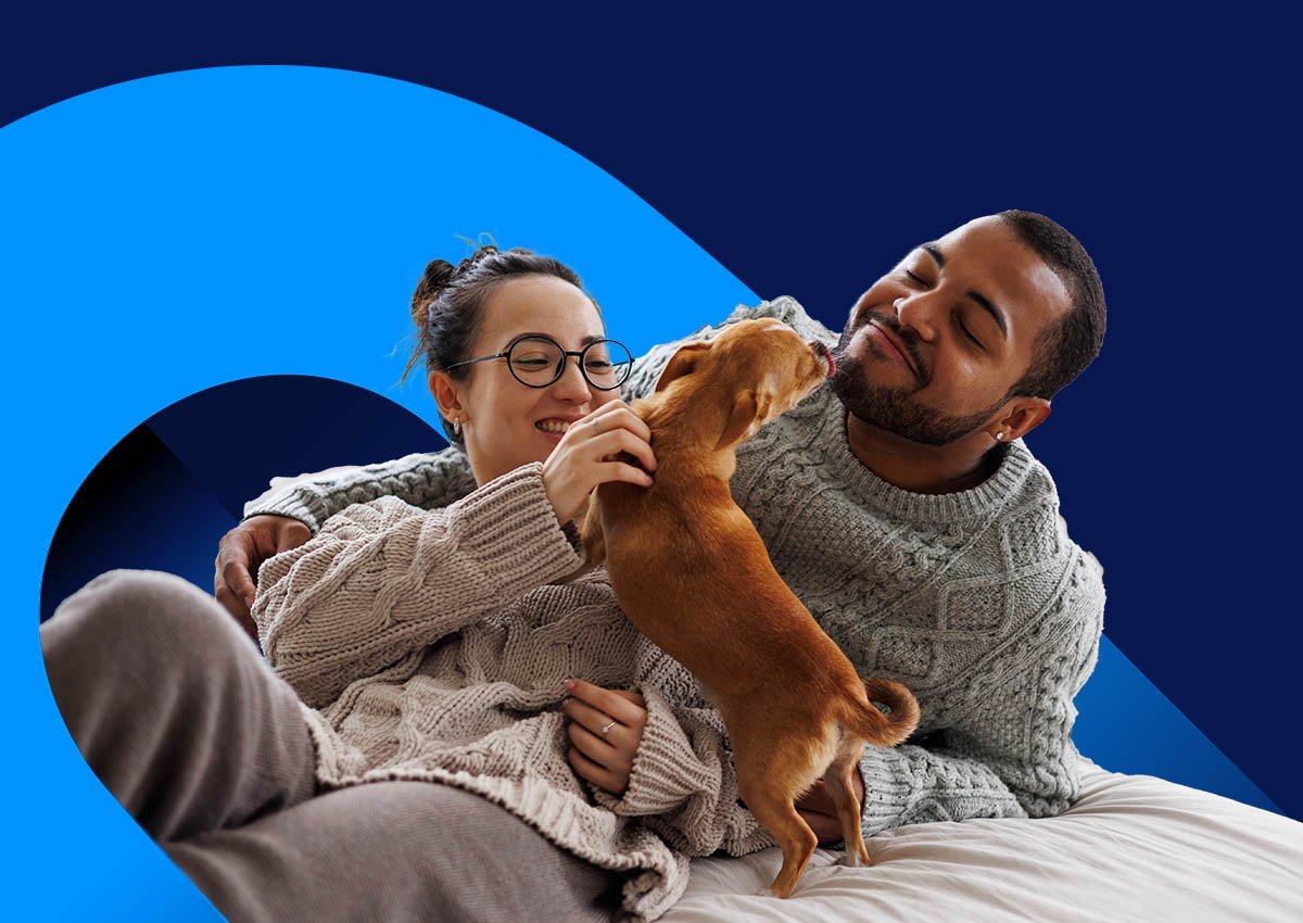 Dog Blue Swirls